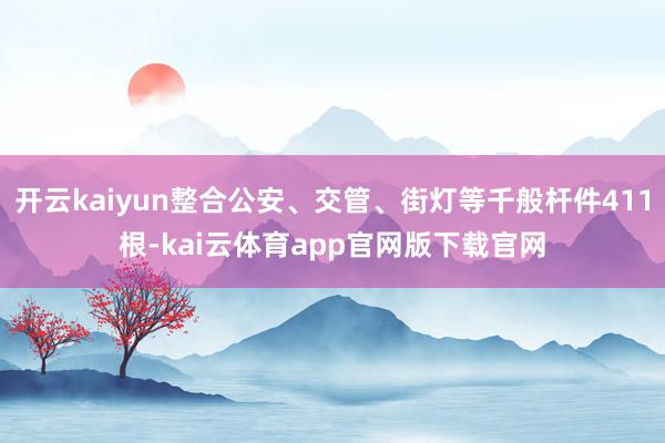 开云kaiyun整合公安、交管、街灯等千般杆件411根-kai云体育app官网版下载官网